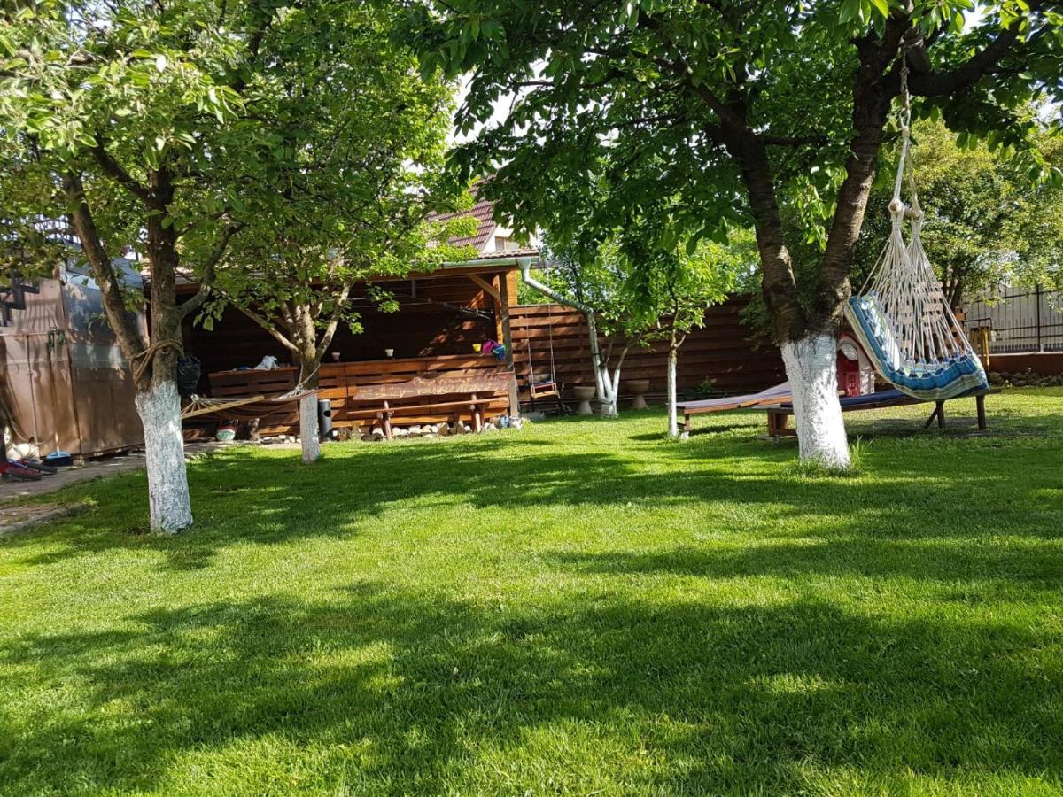 Sport Hostel Cluj Eksteriør bilde