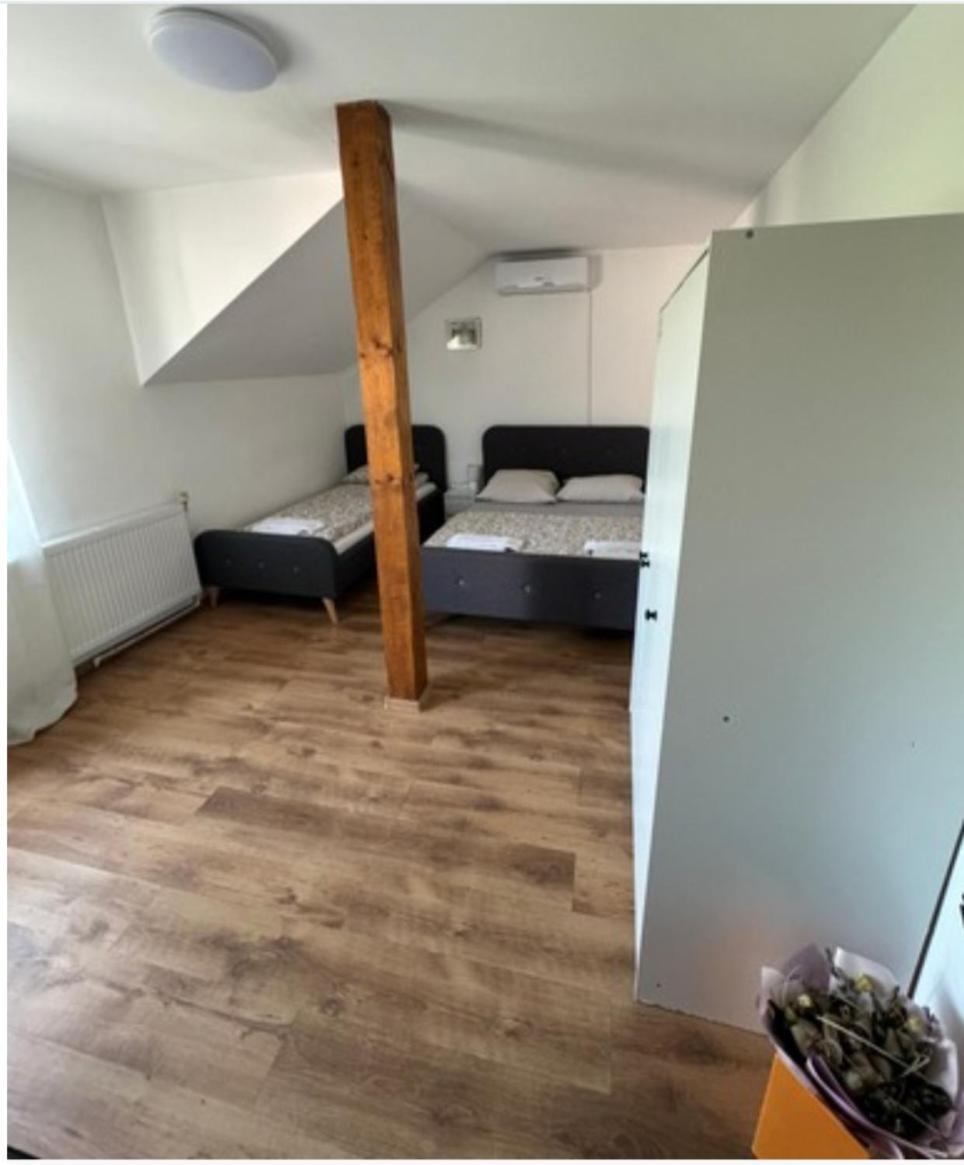 Sport Hostel Cluj Rom bilde